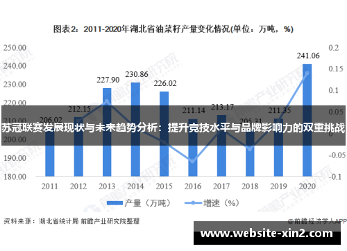 苏冠联赛发展现状与未来趋势分析：提升竞技水平与品牌影响力的双重挑战
